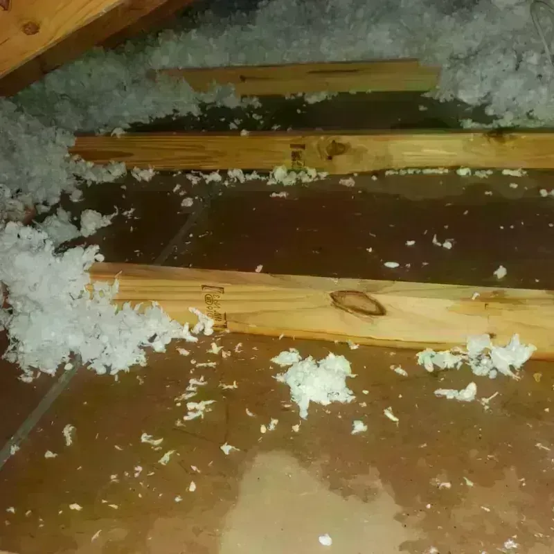 Attic Water Damage in Waite Park, MN